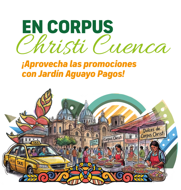 Promociones Corpus Christi 2026